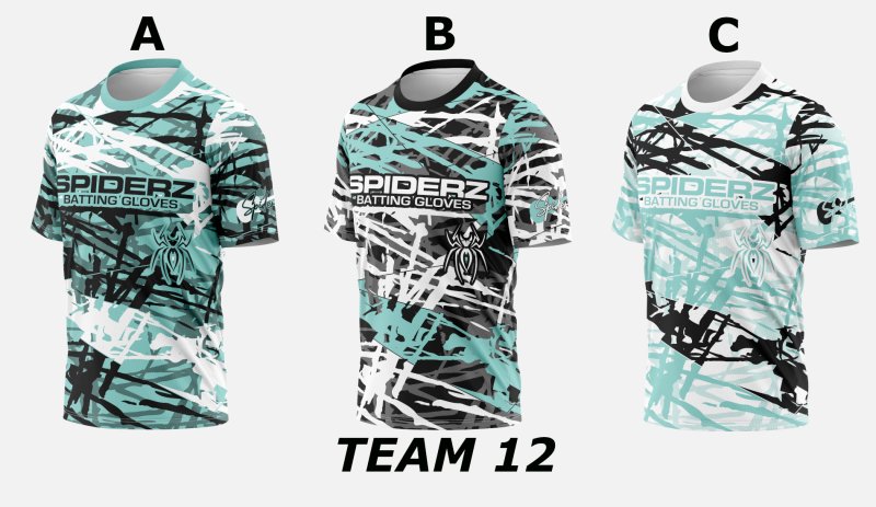 Team 12 photo