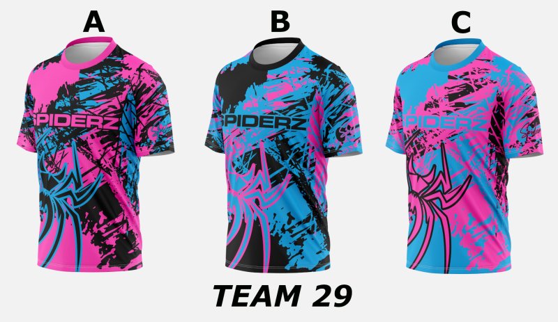 Team 29 photo