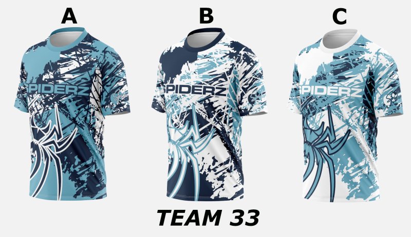 Team 33 photo