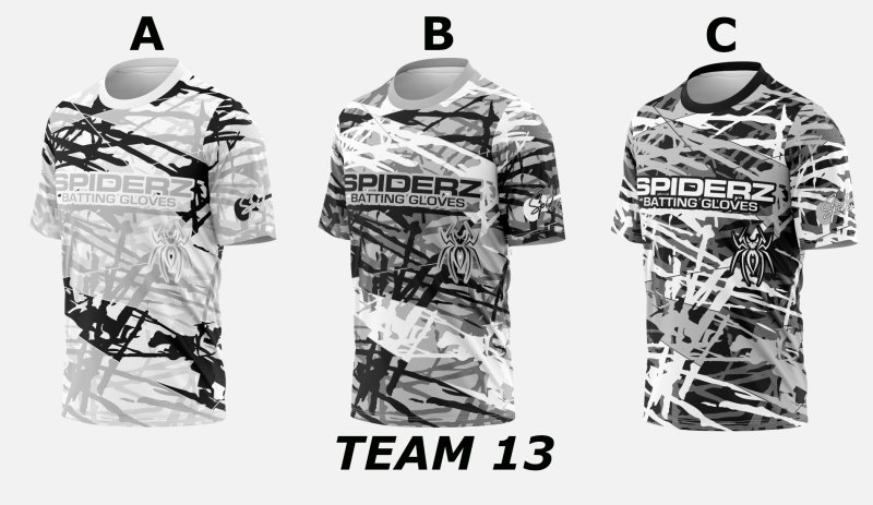 Team 13 photo