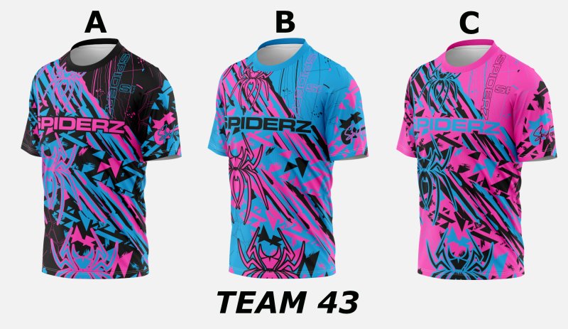 Team 43 photo