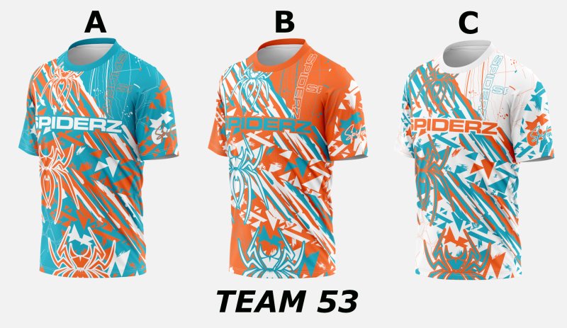 Team 53 photo